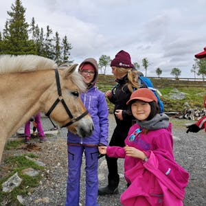 Barn med hest på Langedrag