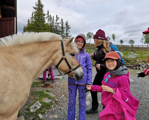 Barn med hest på Langedrag