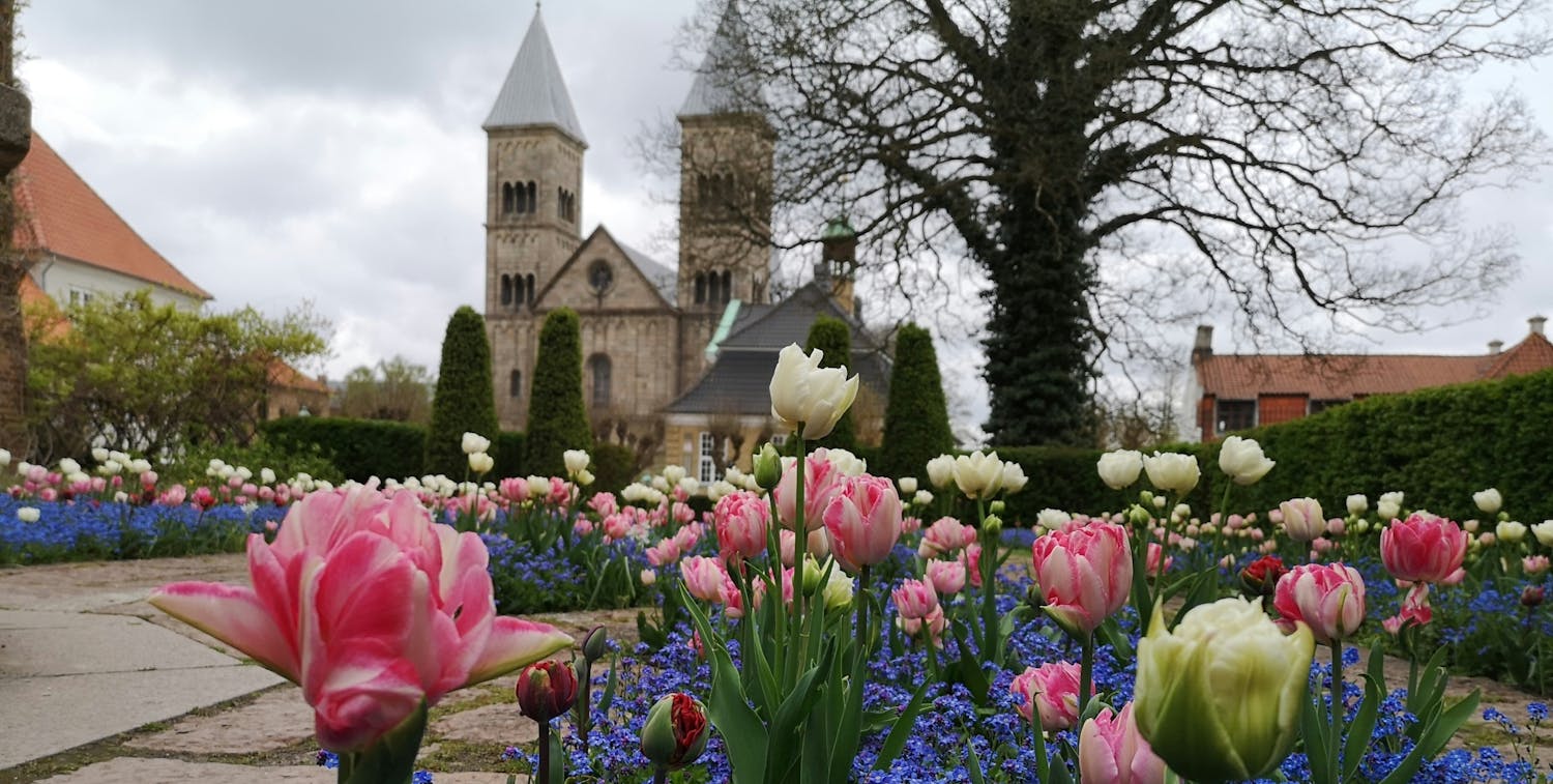 Bakken er dekket av fine blomster, bak ser vi et tre og to kirketårn på Viborg katedralen.